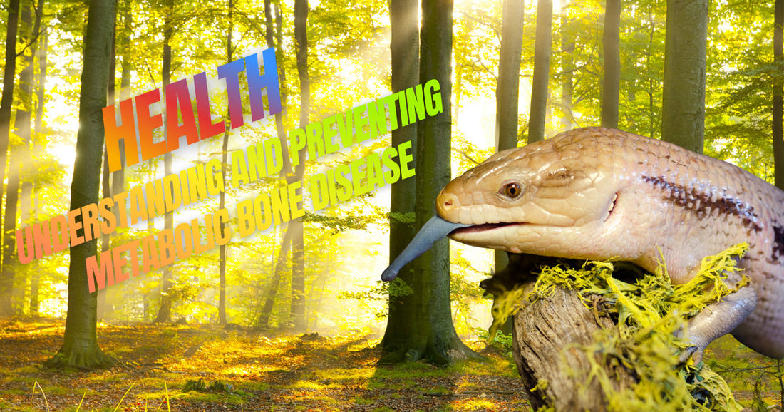 Reptil en hábitat natural con texto sobre salud y prevención de enfermedades óseas