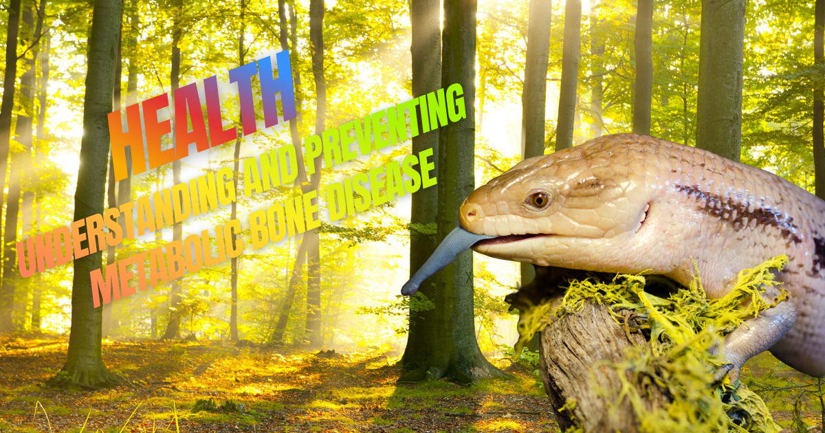 Reptil en hábitat natural con texto sobre salud y prevención de enfermedades óseas