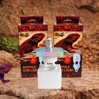 Lámpara UVB 10.0 Desert 26W – DFT REPTILE