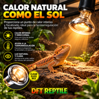 Basking Spot de calor creando un punto de calor focalizado para el asoleo y la termorregulación de reptiles.