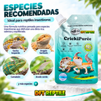 Especies de reptiles recomendadas para CrickiPuree, puré de grillo para reptiles 