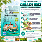 Guía de uso de CrickiPuree para ofrecer puré de insectos de forma sencilla a reptiles