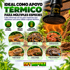 Infografía de DFT REPTILE sobre el uso de la bombilla cerámica como apoyo térmico para diferentes reptiles.