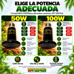 Comparativa DFT REPTILE de bombillas de cerámica de 50W y 100W con temperaturas orientativas a 10, 20 y 30 cm.