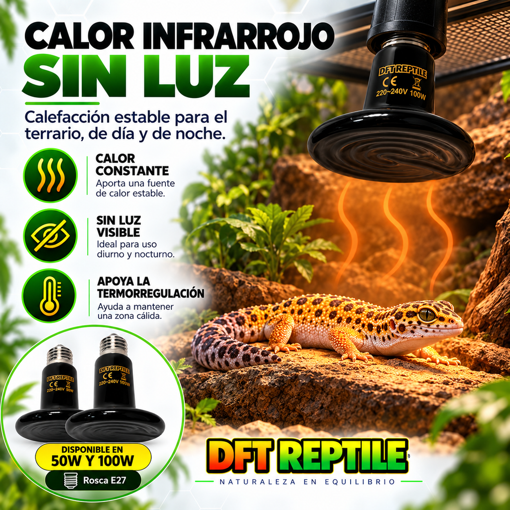 Infografía de la bombilla cerámica DFT REPTILE: calor infrarrojo sin luz visible y modelos de 50W y 100W.