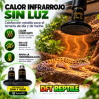 Infografía de la bombilla cerámica DFT REPTILE: calor infrarrojo sin luz visible y modelos de 50W y 100W.