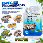 Especies de reptiles recomendadas para DubiPurée, puré de cucaracha dubia para reptiles 