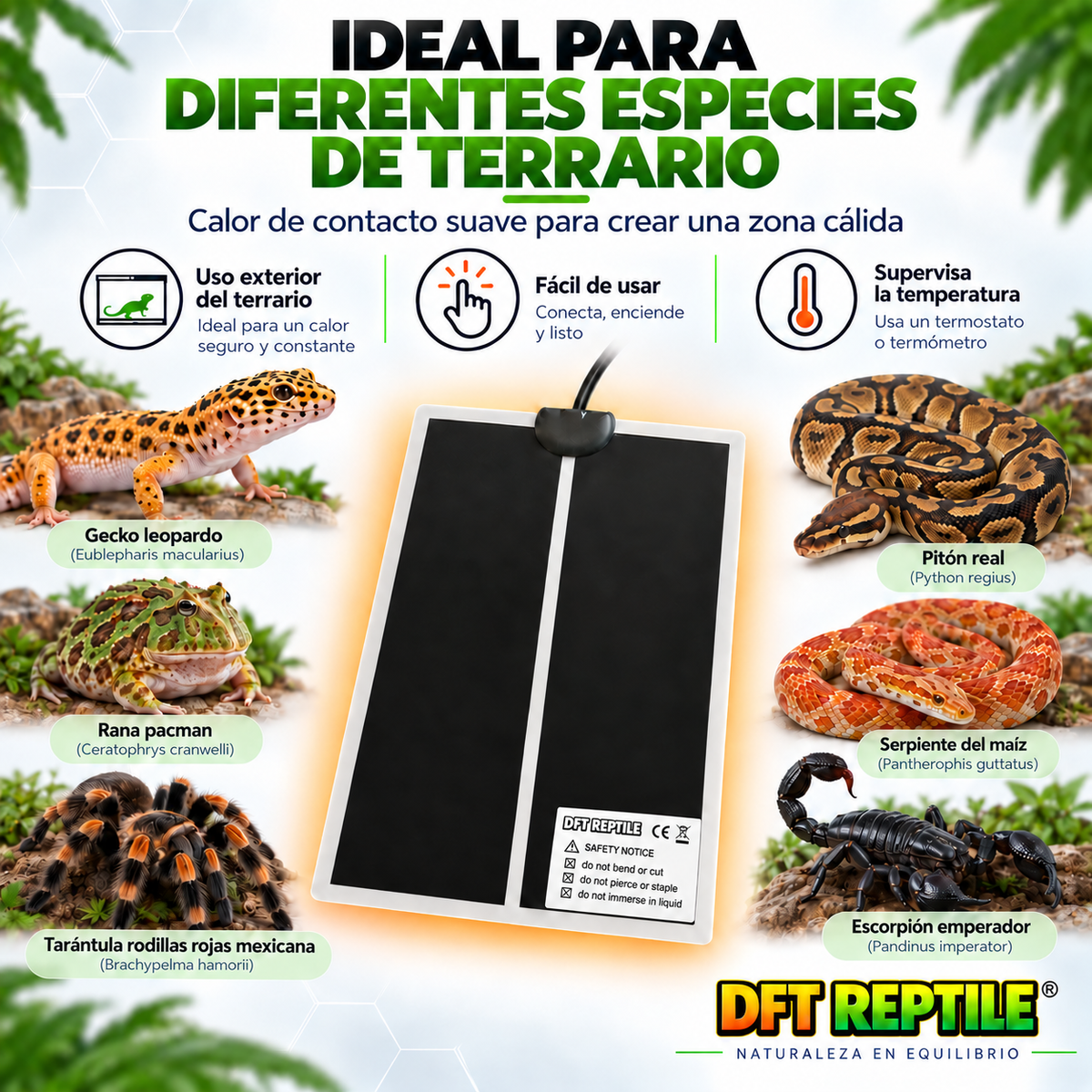 Manta térmica para terrario compatible con reptiles, anfibios e invertebrados con necesidades térmicas adecuadas
